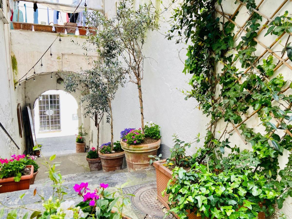 Casa Viggiano In The Heart Of